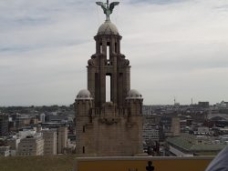 view from the liver building