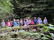 Friday Walk Styal